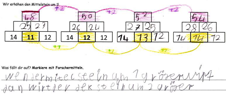 Arbeitsblatt zu Zahlenmauern. Überschrift: „Wir erhöhen den Mittelstein um 1!“, darunter vier 3er-Zahlenmauern. Erste Zahlenmauer: Basissteine 14, 11 und 12. Der Mittelstein (11) wurde in den anderen Zahlenmauern jeweils um +1 erhöht: 12, 13 und 14. Aufgabe „Was fällt dir auf? Markiere mit Forschermitteln.“ Schülerlösung: Decksteine der Zahlenmauern (48, 50, 52 und 54) wurden lila eingefärbt, mit lila Strichen verbunden und mit „+2“ gekennzeichnet. Die Mittelsteine (11, 12, 13 und 14) wurden gelb eingefärbt, mit gelben Strichen verbunden und mit „+1“ gekennzeichnet. Antwort: „Wenn der Mittelstein um 1 größer wird, dann wird der Deckstein um 2 größer“ (Rechtschreibung angepasst).